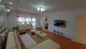 ein Wohnzimmer mit einem Sofa und einem TV in der Unterkunft Exclusive in Paraćin