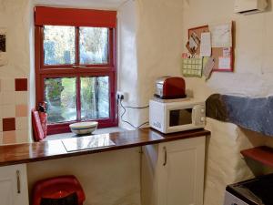 cocina con encimera, microondas y ventana en Bryn Rhos Goch, en Dolwyddelan