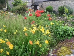 YoulgreaveにあるWild Flower Cottageの庭の花の彩り豊かな庭園