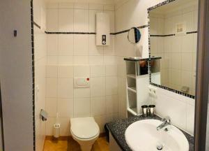 a bathroom with a sink and a toilet and a mirror at Bergurlaub Königsleiten in Königsleiten