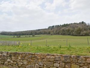 a stone wall in front of a field with a fence at Bramble Cottage in Newland