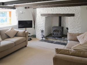 a living room with a couch and a fireplace at Dover Row Cottage in Zelah