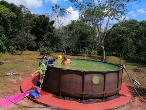- une personne dans un trampoline dans une piscine d'eau dans l'établissement FINCA AGROTURISTICA VILLA MANE, à San José del Guaviare