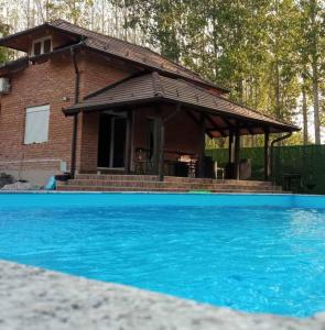 una casa con una piscina azul frente a ella en Vikendica Una na Drini en Loznica