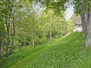 a grassy hill with a house in the background at Treetops in Newtonmore