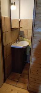 ein Bad mit einem Waschbecken und einem Spiegel in der Unterkunft Pace in Kuvaszó-Casă la cheie in Filia