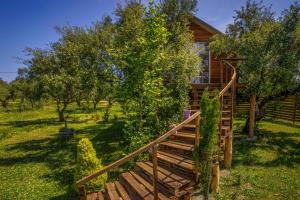 A garden outside FairyTale