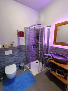 La salle de bains est pourvue d'un lavabo violet et d'une douche. dans l'établissement Gantrisch Lodge, à Rüschegg