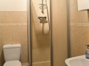 a bathroom with a shower with a toilet and a sink at Boundary Gallery Cottage in Framlingham