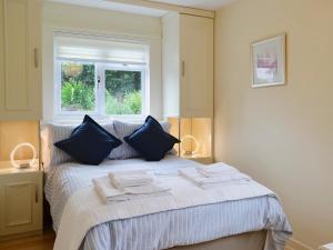 a bedroom with a bed with blue pillows and a window at Tegfan in Llangenny