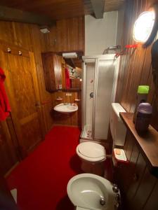 een badkamer met een toilet en een rood tapijt bij Casa vacanza Folgarida in Folgarida