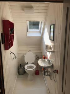 a small bathroom with a toilet and a sink at Home@Chiny in Chiny