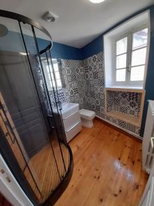 uma casa de banho com um chuveiro e um WC. em Maison de rue: Auch em Auch