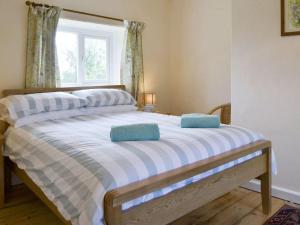 een bed met twee kussens in een kamer bij Winscott Cottage in Pyworthy