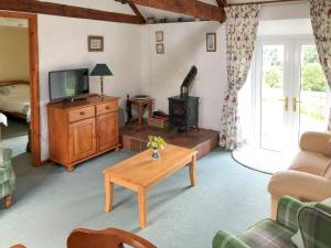 a living room with a tv and a wood stove at Cych Cottage in Capel-Ifan