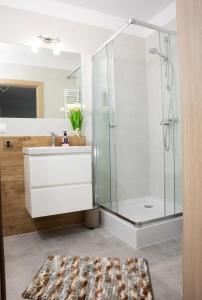 Koupelna v ubytování Luxus Apartament Róża + 31 fotografií
