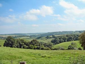 a green field with trees in the distance at Shaplands Barn in Cold Ashton