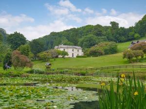 a house on a hill next to a pond with lilies at Riverside Cottage - B6859 in Saint Cleer