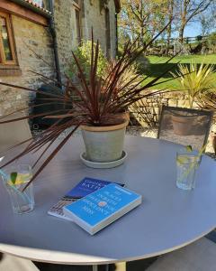 a blue table with a book and a plant on it at The Little Barn @ Bath With LARGE Hot Tub in Bath