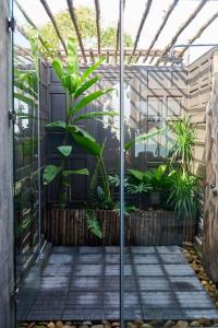 un jardin avec des plantes dans une serre en verre dans l'établissement NANO ECO-HOSTEL, à Hue