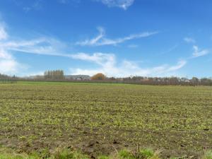 Natuurlandschap vlak bij het vakantiehuis