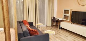 Televízia a/alebo spoločenská miestnosť v ubytovaní DN Rose Apartmant