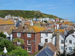 a group of houses in a town with a hill at Seagulls Nest in Hastings