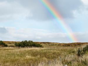 a rainbow in the middle of a field at Seascape in Staffin