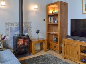 a living room with a wood stove and a tv at Larkspur in Hollington