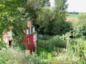 an old house with ivy on it in a garden at The Mill in Lindridge