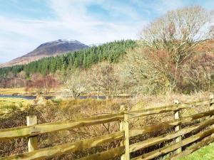 a fence in a field with a mountain in the background at Ardura Cottage in Lochdon
