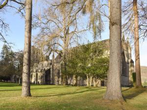 a group of trees in front of a building at Osprey Cottage in Dunkeld