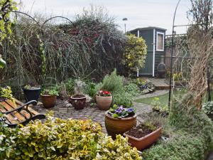 a garden with many pots of flowers and a bench at Lace Cottage in Ashbourne