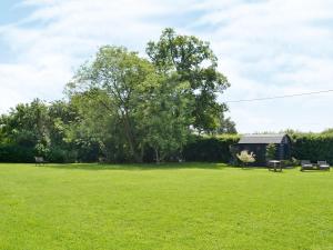 un gran campo de hierba con un árbol y un cobertizo en Hillcroft, en Cold Norton