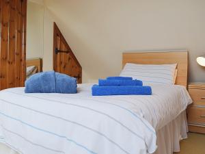 BroomにあるThe Byreの白いベッド(青い枕2つ付)