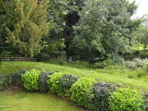 a row of bushes in a field with trees at Elm Court 7 in Keswick