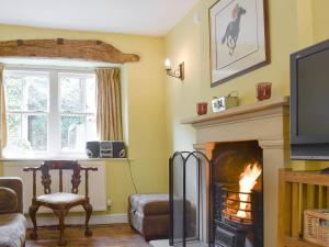 a living room with a fireplace and a tv at Dove Cottage in Middleham