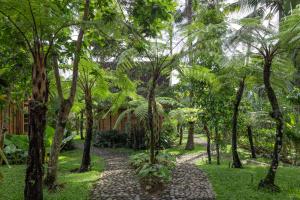 RUMAH KAYU RESORT外面的花园
