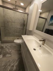 a bathroom with a sink and a toilet and a shower at Naples Dream at WTC with Heated Pool SPA Sauna 7 bicycles and 3 mls to beach in Naples