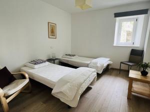 pokój z trzema łóżkami, krzesłem i oknem w obiekcie Appartement T2 centre ville, charme ancien, terrasse, Wi-Fi, animal toléré - FR-1-495-117 w mieście Cambo-les-Bains