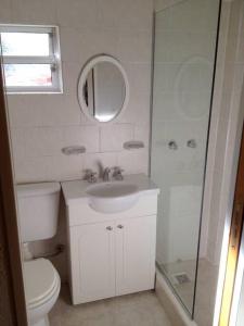 a bathroom with a toilet and a sink and a mirror at Gardeners Delight Studio La Casita Barrio Chapelco in San Martín de los Andes