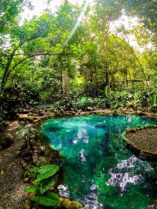een zwembad van blauw water in het midden van een bos bij Cerro Tusa Springs in Venecia