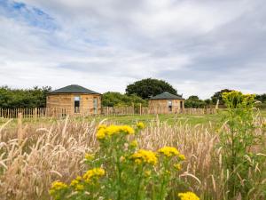 two wooden buildings in a field with yellow flowers at Olive in Wootton Bridge