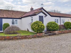 a white house with a cat sitting in front of it at Willow Tree Cottage in Foxholes