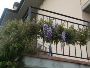 Balkón nebo terasa v ubytování B&B La Casa Di Zefiro