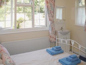 a bedroom with a bed and a sink and a window at Jubilee Cottage in Pyworthy