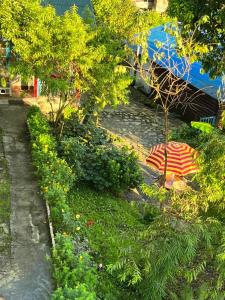 a garden with an umbrella in the grass at YANKEE RESORT Lava in Rishop
