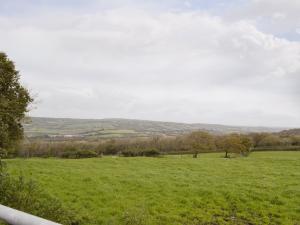 a field of green grass with trees in the distance at Ty-gwyn in Brondini