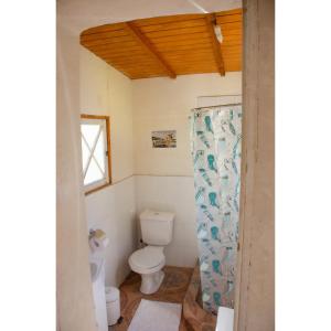 a bathroom with a toilet and a shower at Hostal Los Castaños in San Alfonso