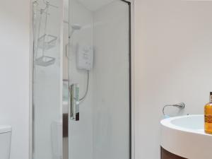 a shower with a glass door next to a sink at Bramble Cottage Mountain Retreat in Twyn Llanan